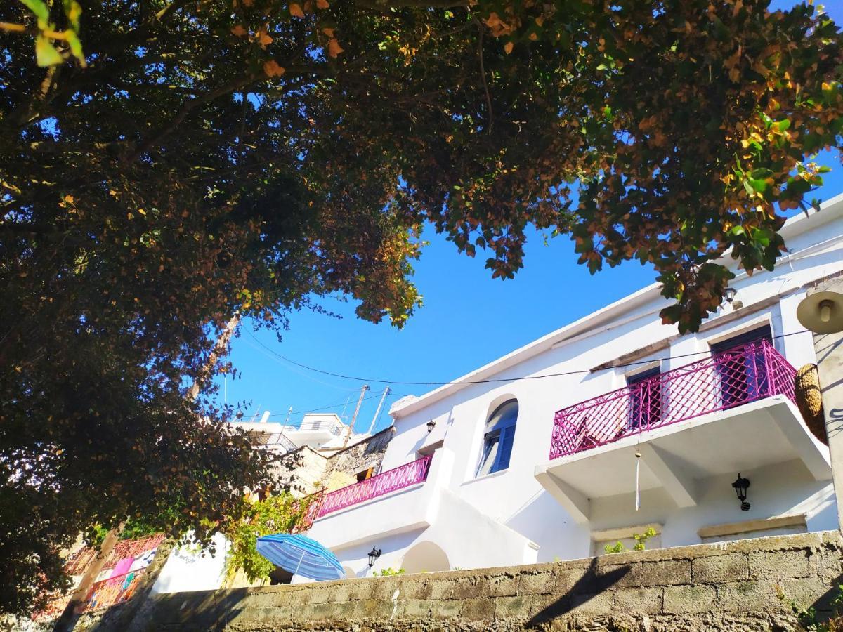 Traditional Family House, Ground Floor With Yard Koronos 外观 照片